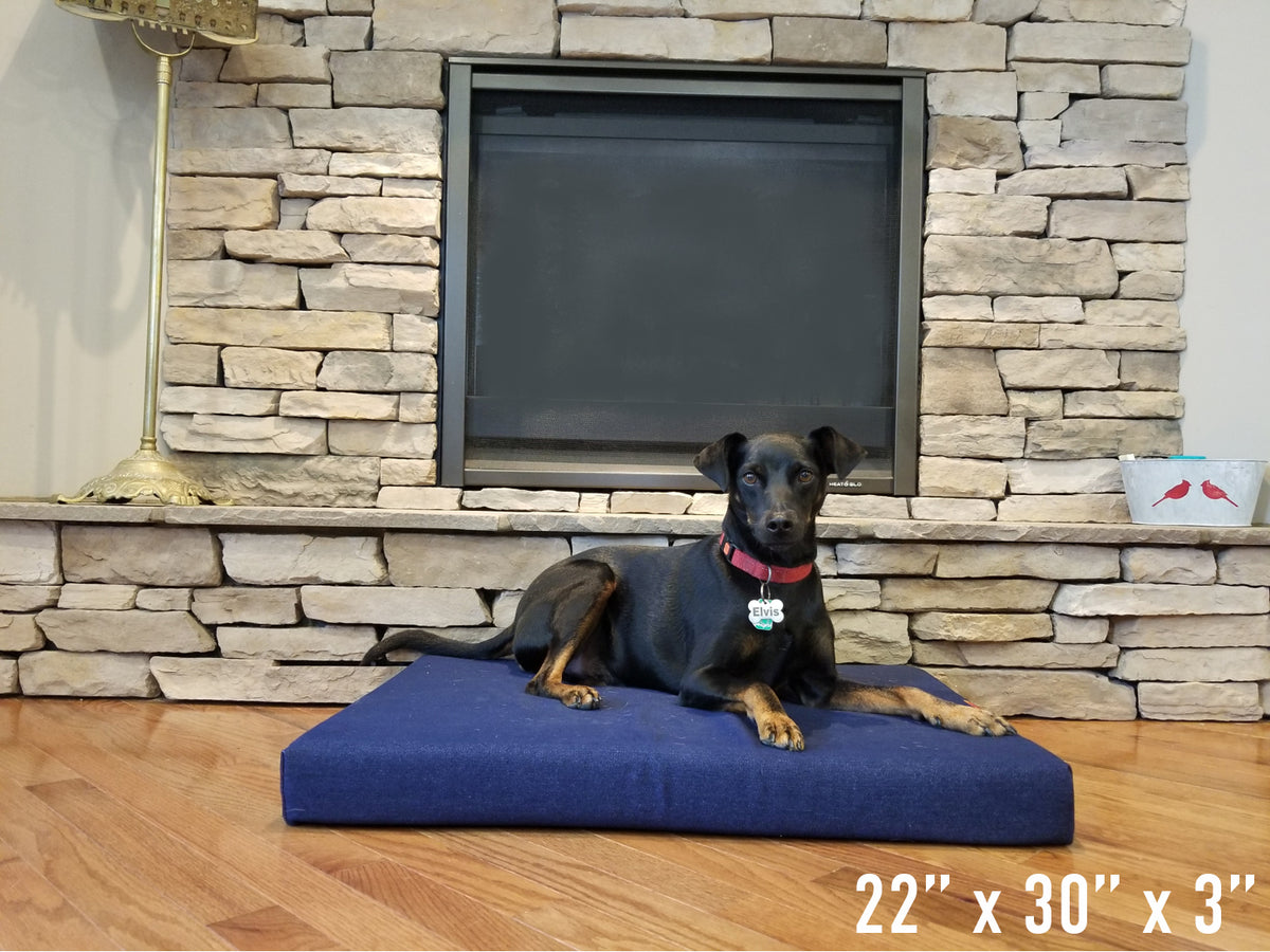 Orthopedic Dog Beds & Products for Therapeutic Sleeping